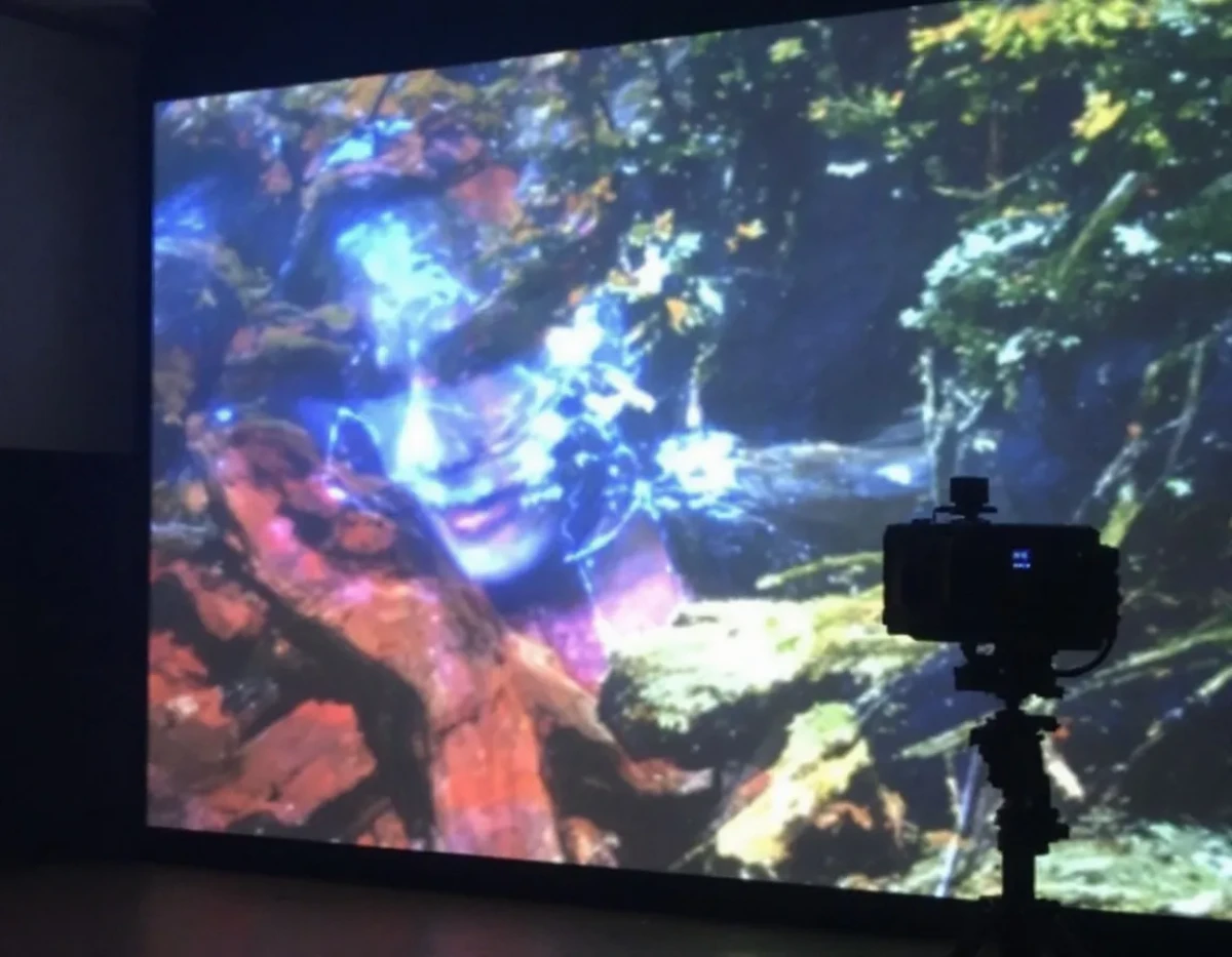 Le vidéoprojecteur : pilier technologique de l'expérience visuelle moderne